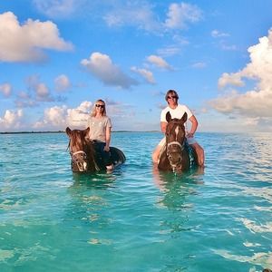 Meet your Posher, Scott brenda